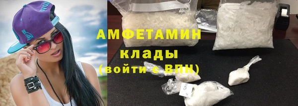 шишки Карпинск