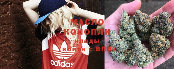 сатива Карталы