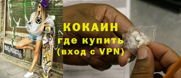 гидра Кодинск