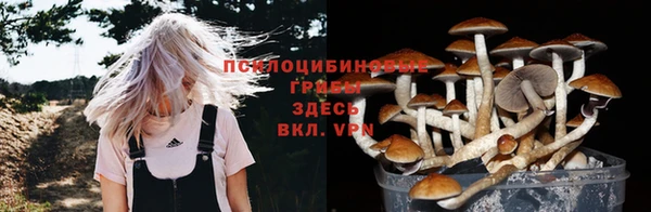 прущие крисы Кинешма
