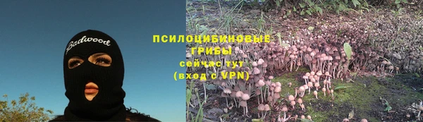 гидра Кодинск