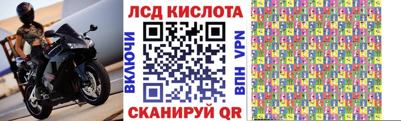 MEGA   Сунжа  Марки NBOMe 1500мкг 