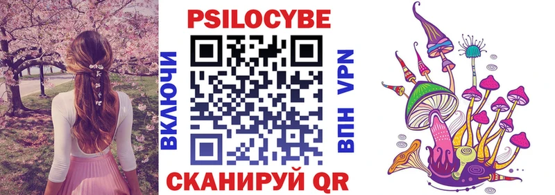 Псилоцибиновые грибы Psilocybe MEGA Сунжа где найти