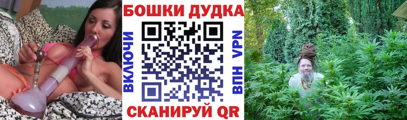 Канабис марихуана  Сунжа 